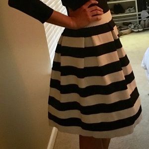 NWOT New York and Company Striped Skirt